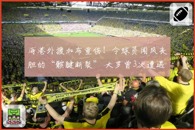 海港外援加布重伤！令球员闻风丧胆的“髌腱断裂” 大罗曾3次遭遇