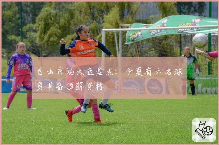 自由市场大鱼盘点:今夏有六名球员具备顶薪资格