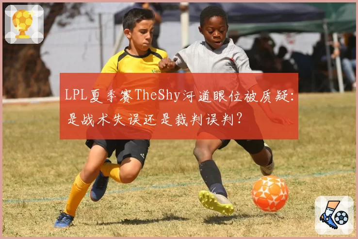 LPL夏季赛TheShy河道眼位被质疑：是战术失误还是裁判误判？